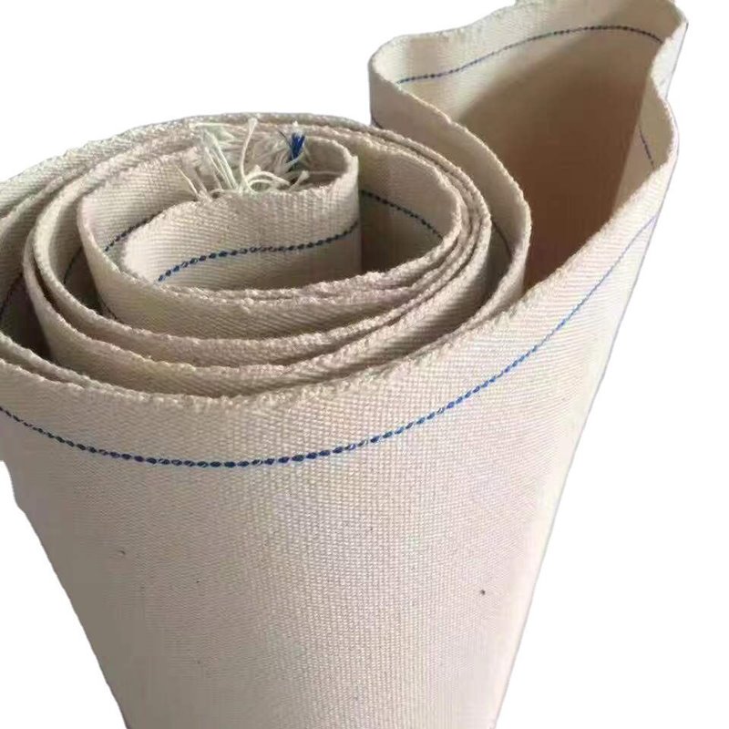 Cotton Canvas - 图片 2